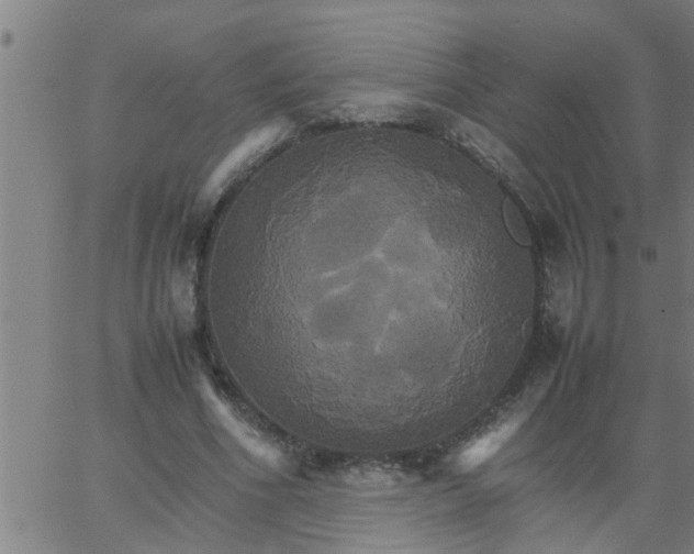 X0000066540586200603311847