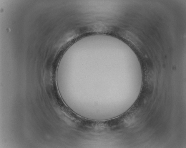 X0000066540587200603311847