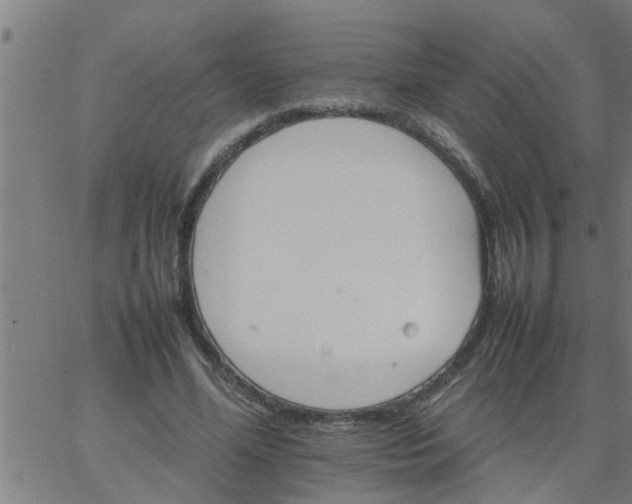 X0000066540588200603311847