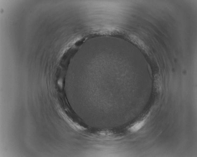 X0000066540589200603311847