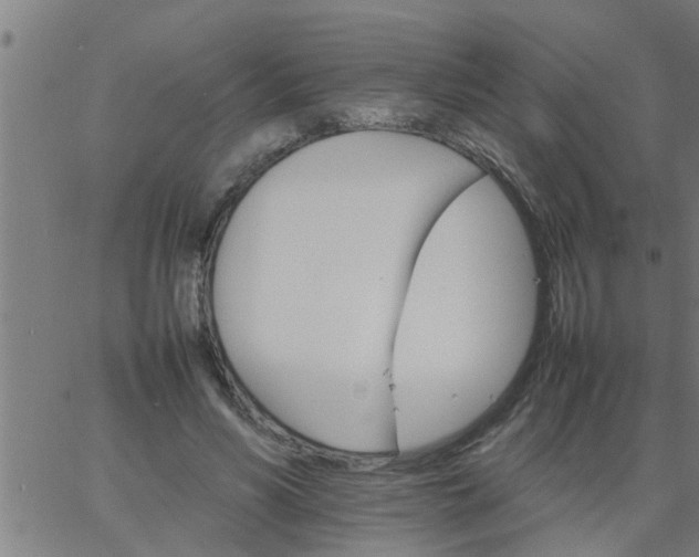 X0000066540590200603311847