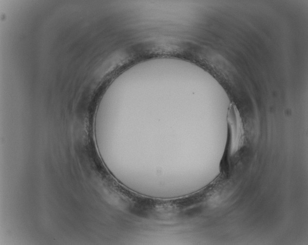 X0000066540591200603311847