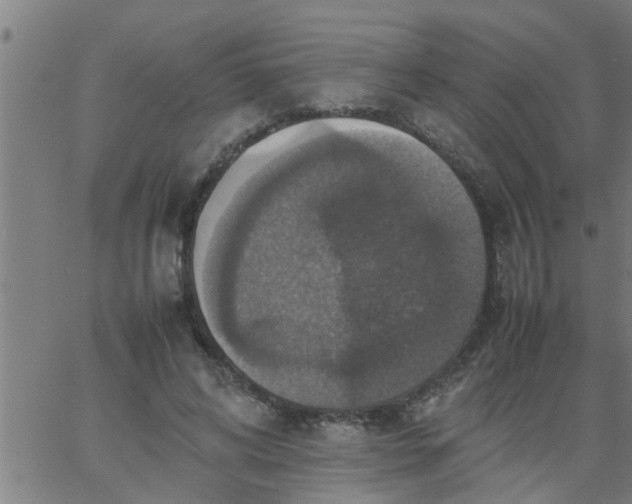 X0000066540592200603311847