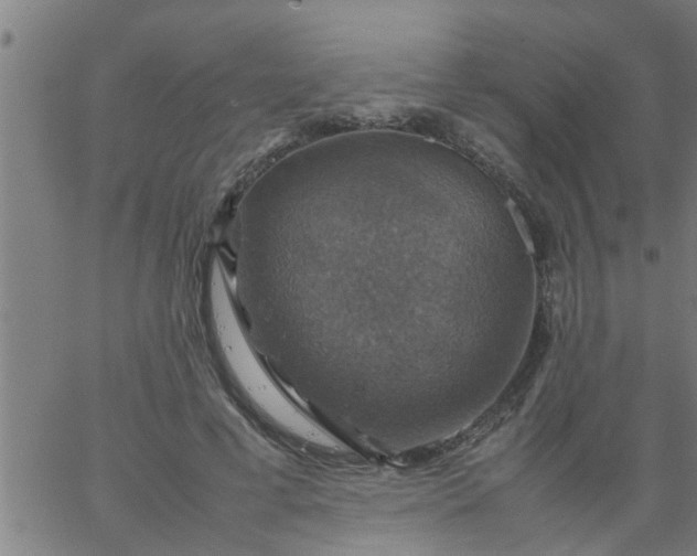 X0000066540593200603311847