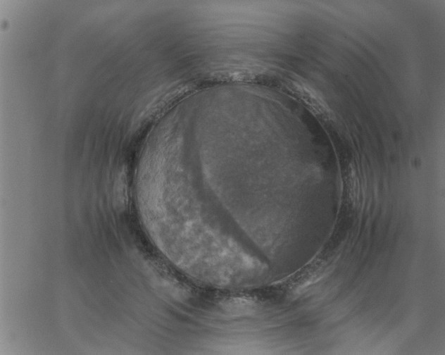 X0000066540594200603311847