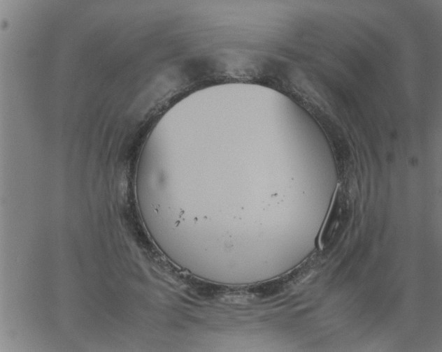 X0000066540595200603311847