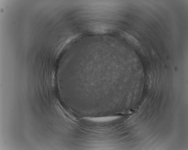 X0000066540596200603311847