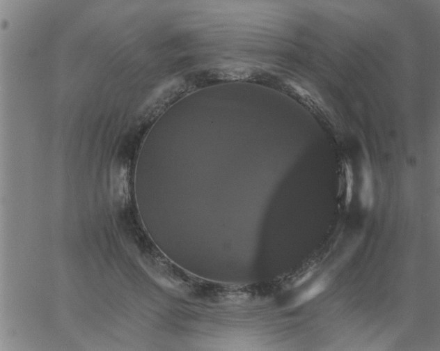 X0000066540598200603311847