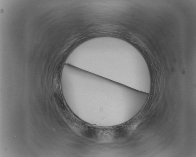 X0000066540599200603311847