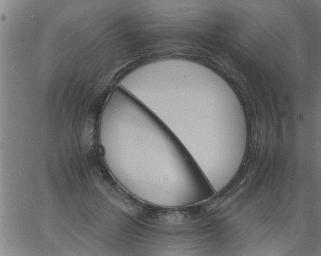 X0000066540600200603311847