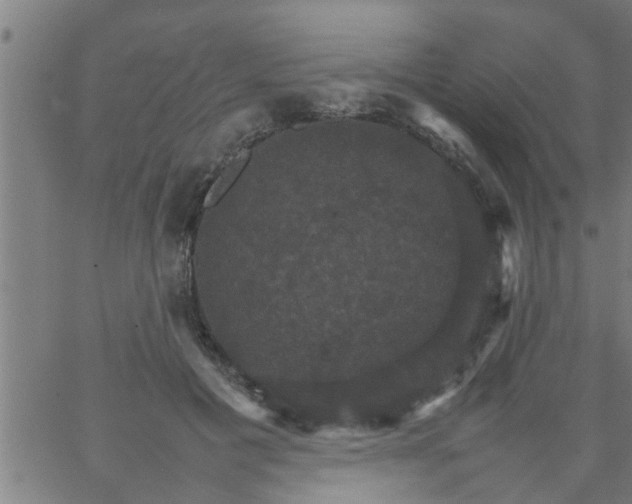 X0000066540601200603311847