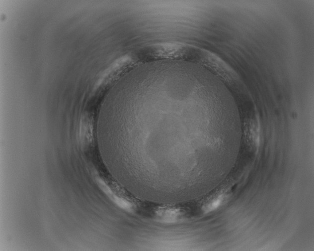 X0000066540602200603311847