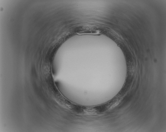 X0000066540603200603311847