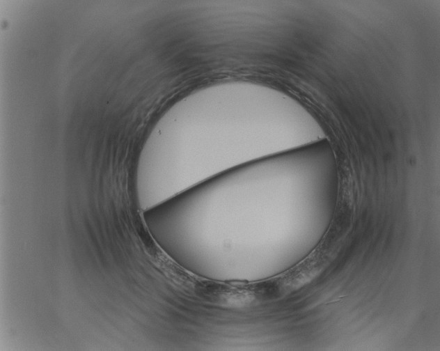 X0000066540604200603311847