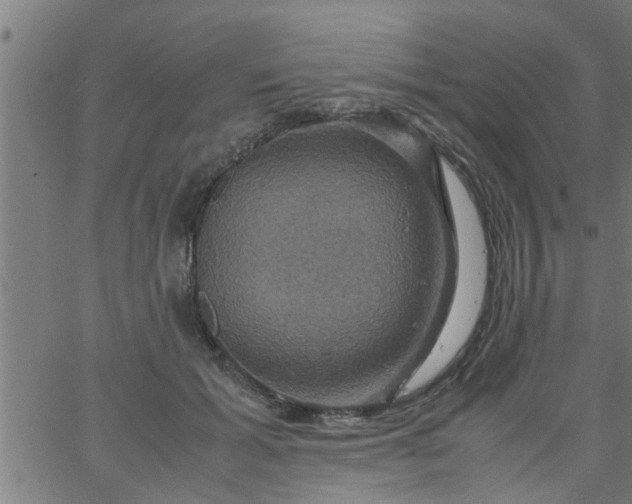 X0000066540605200603311847