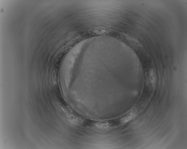 X0000066540606200603311847