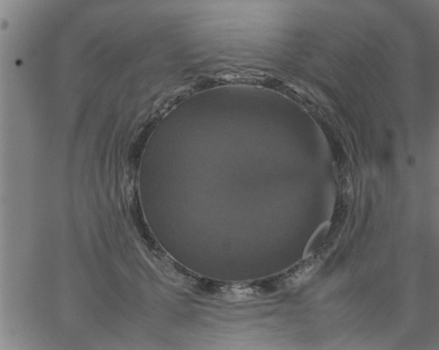 X0000066540607200603311847