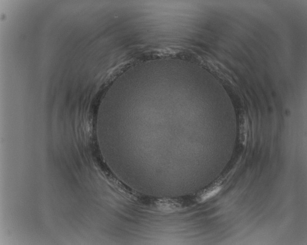 X0000066540608200603311847