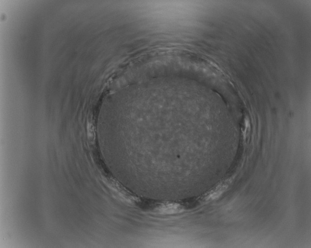 X0000066540609200603311847