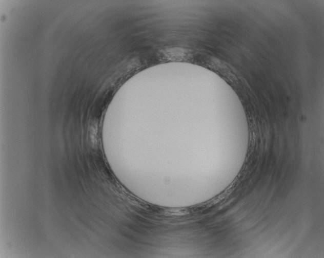 X0000066540610200603311847