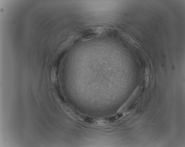 X0000066540611200603311847