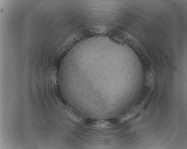 X0000066540612200603311847