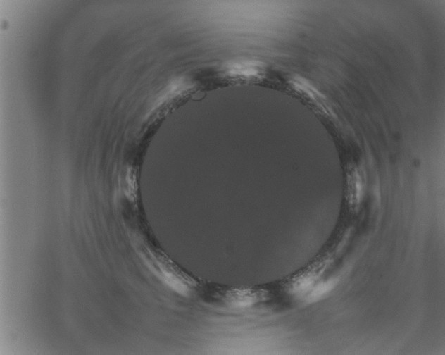 X0000066540613200603311847