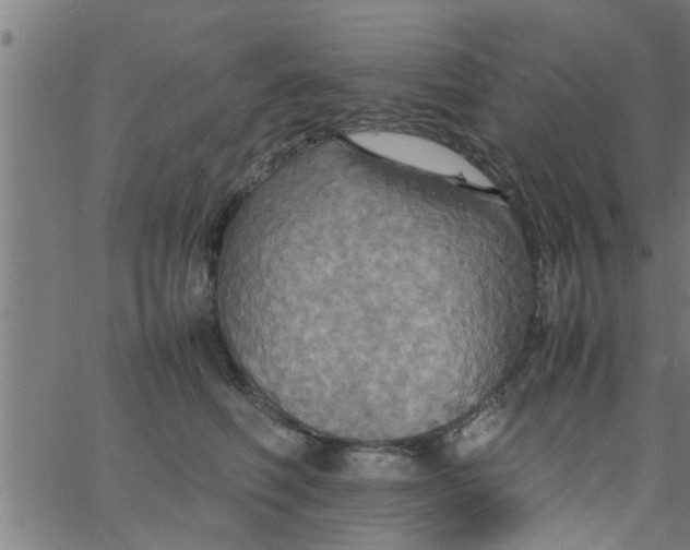 X0000066540614200603311846