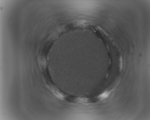 X0000066540617200603311846