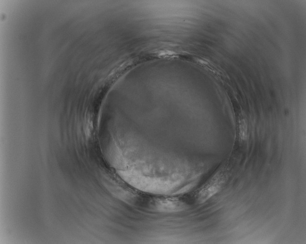 X0000066540618200603311846