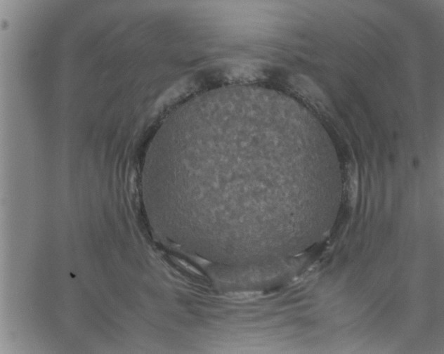 X0000066540619200603311846