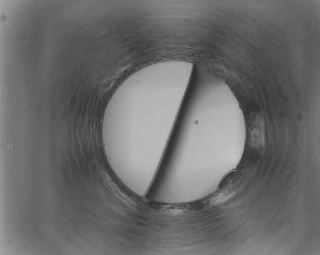 X0000066540620200603311846