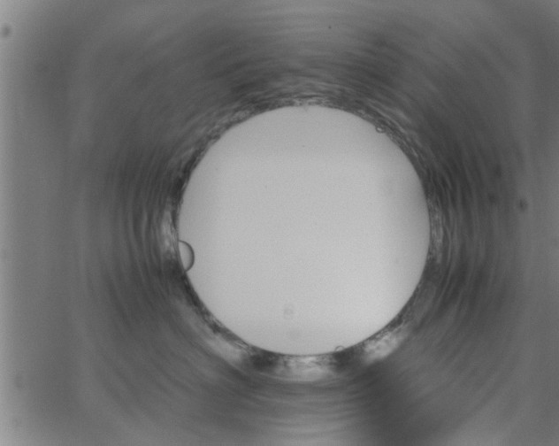 X0000066540622200603311846