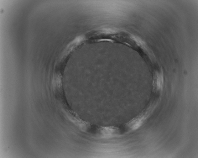 X0000066540623200603311846