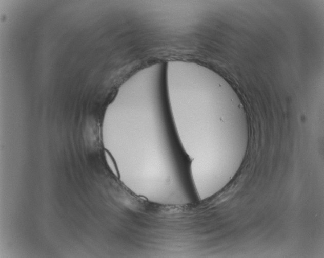 X0000066540624200603311846