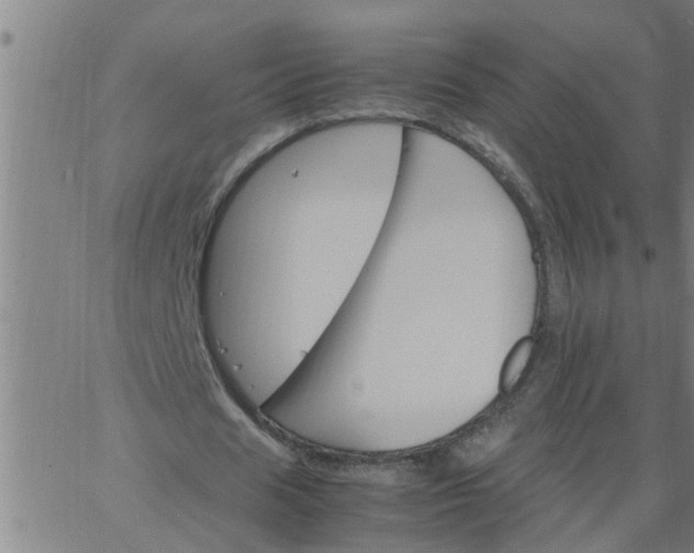 X0000066540625200603311846