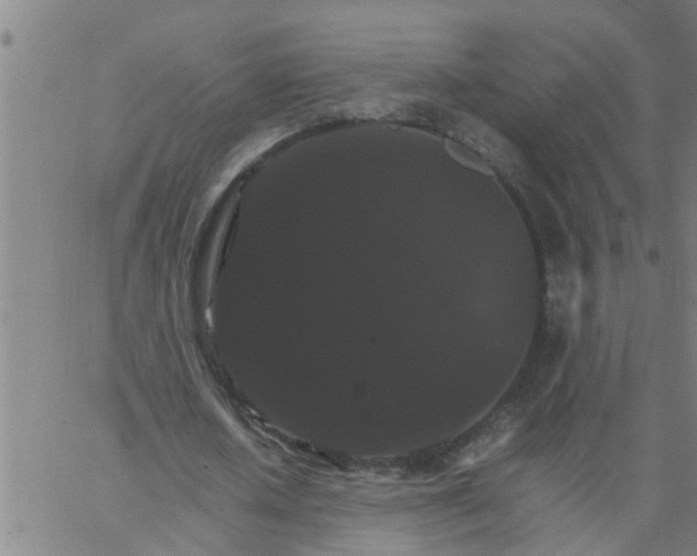 X0000066540626200603311846