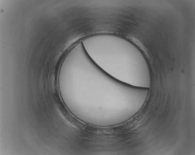 X0000066540627200603311846