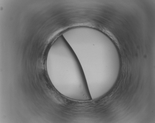 X0000066540628200603311846