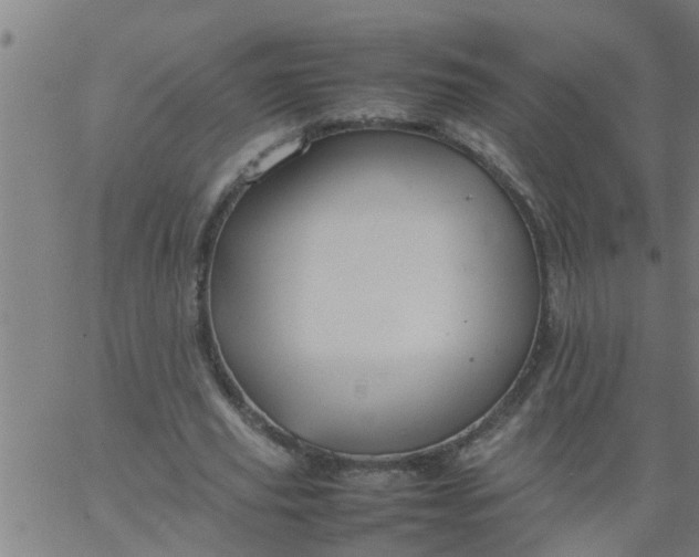 X0000066540629200603311846