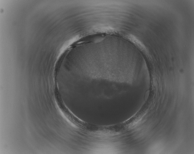 X0000066540630200603311846