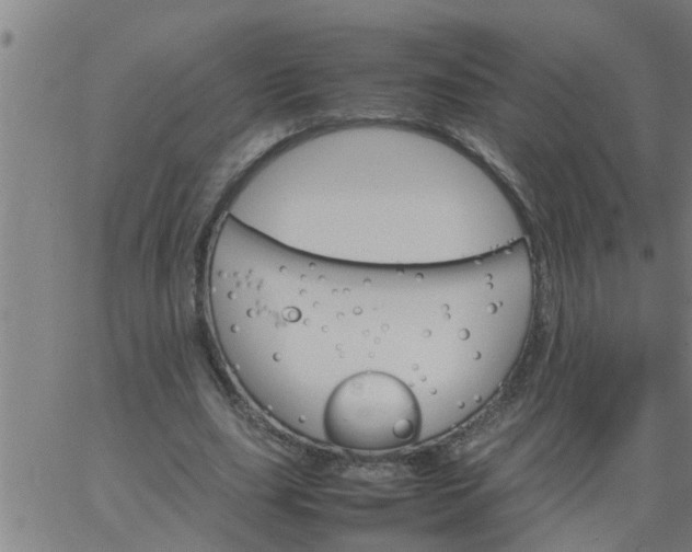 X0000066540631200603311846