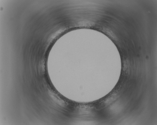 X0000066540632200603311846