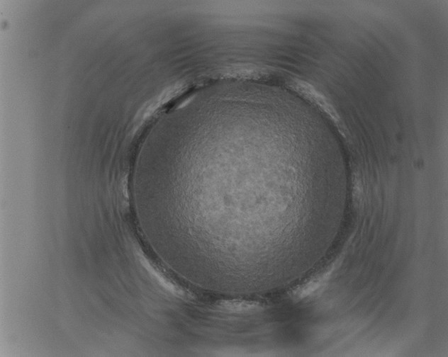 X0000066540633200603311846