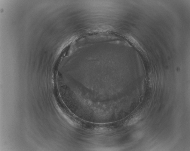 X0000066540634200603311846