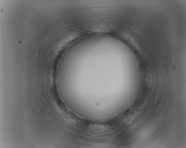 X0000066540635200603311846