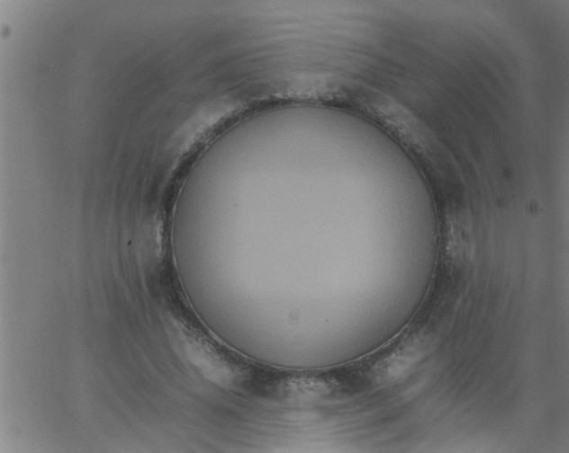 X0000066540636200603311846