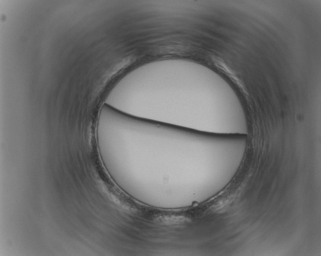 X0000066540637200603311846