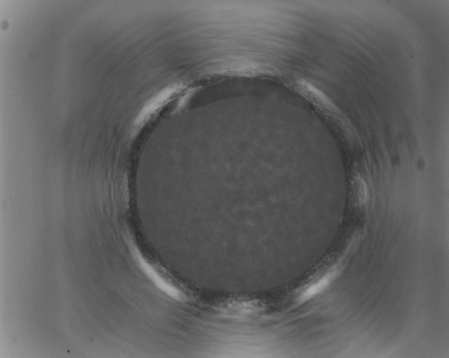 X0000066540638200603311846