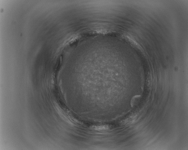 X0000066540639200603311846